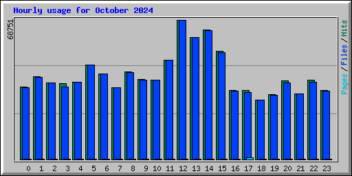 Hourly usage for October 2024