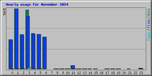 Hourly usage for November 2024