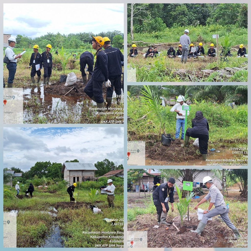 Uji Kompetensi Keahlian (UKK) di SMK Negeri 4 Sampit: Menguji Keterampilan Siswa Jurusan Agribisnis Tanaman Perkebunan